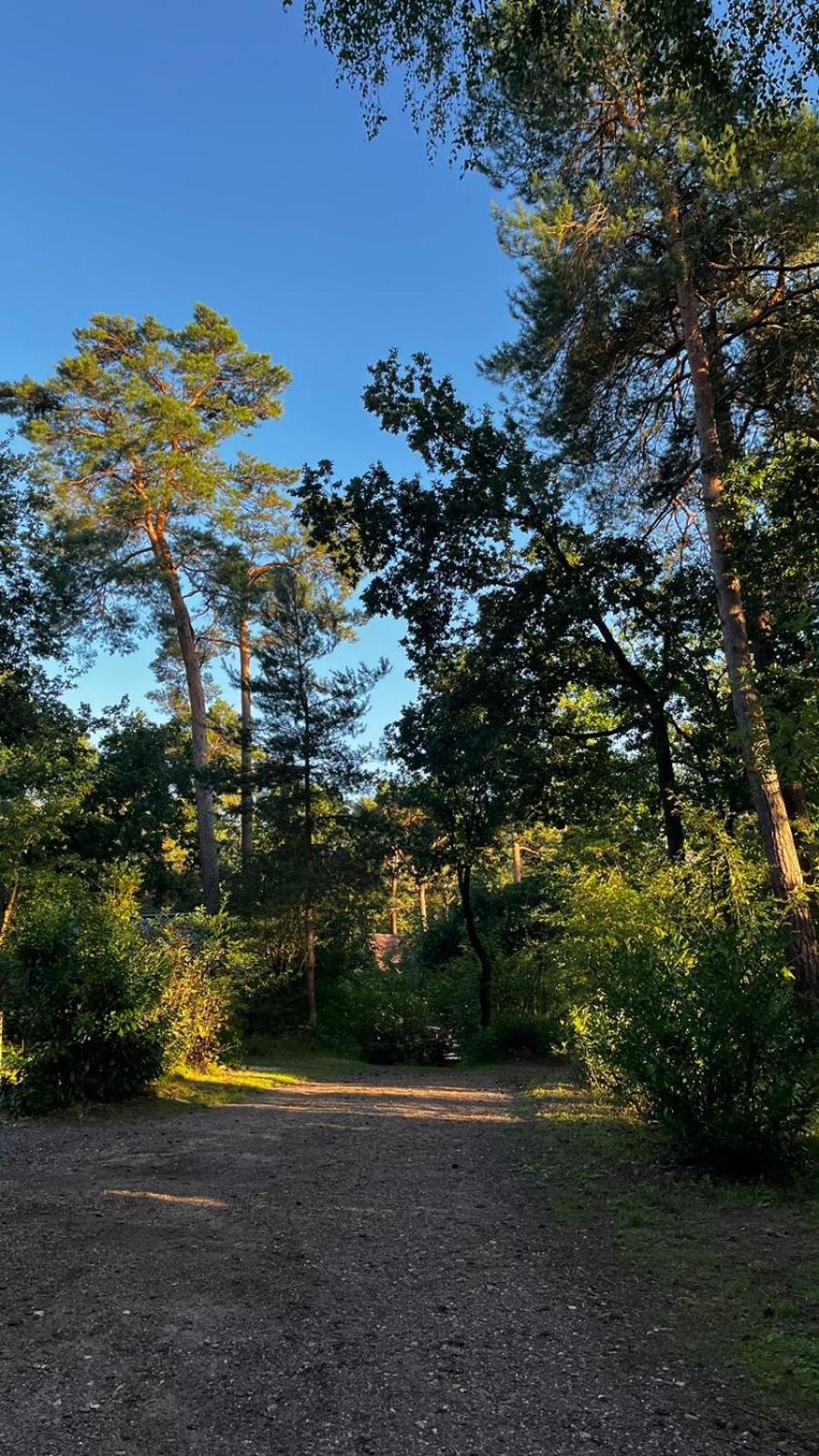 Vakantiehuis Vliegend Hert Veluwe Nunspeet Ngoại thất bức ảnh