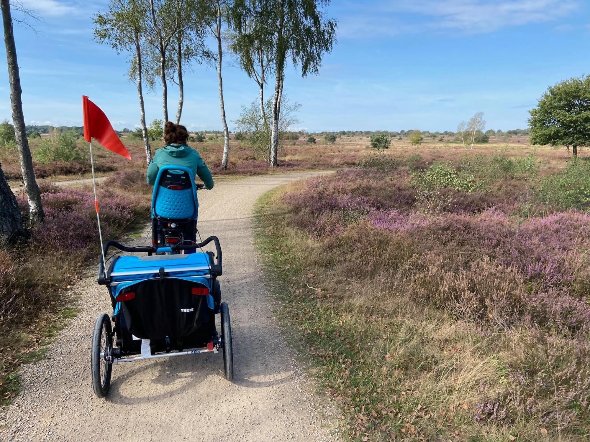 Vakantiehuis Vliegend Hert Veluwe Nunspeet Ngoại thất bức ảnh